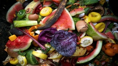 From Farm to Landfill: Why thirty percent of All Food Grown Is Never Eaten